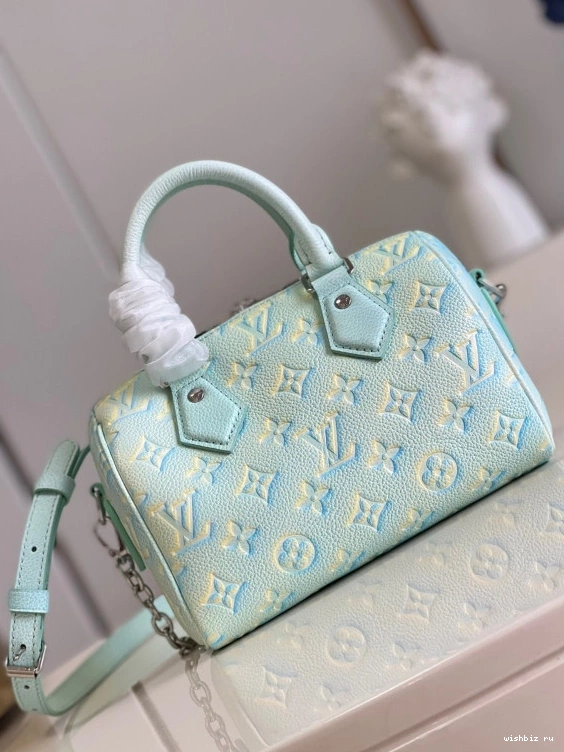 WIS LOUIS SPEEDY VUITTON BANDOULIÈRE 20 0825